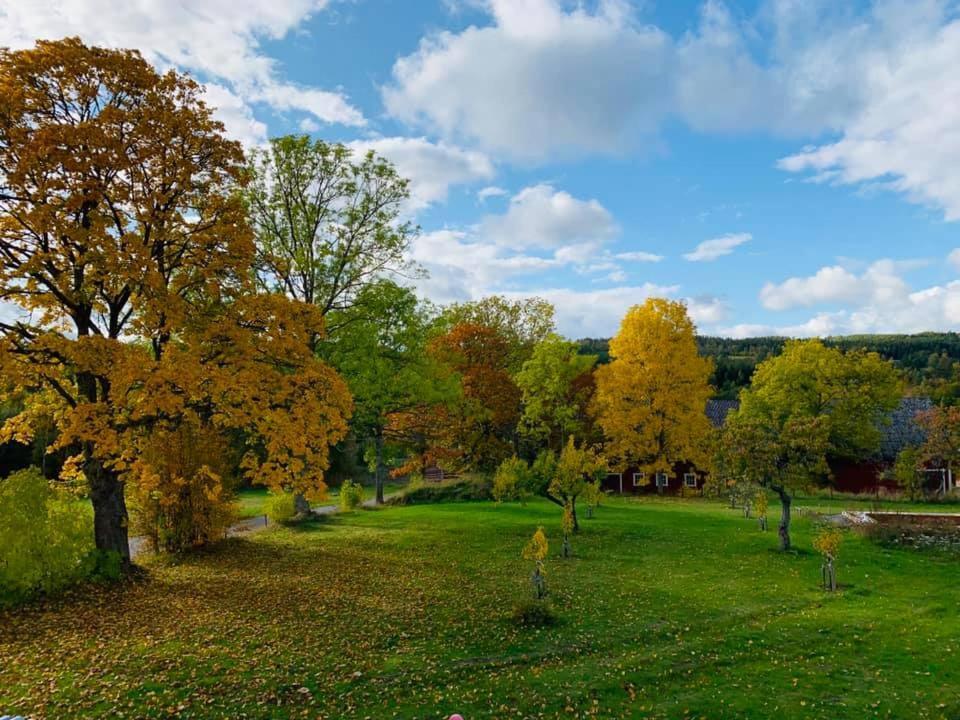 Mamma Carinas Pensionat B&B Bankeryd Екстер'єр фото